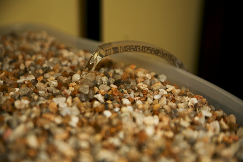 Cultivating Fish Poop